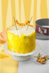 Kaiser Kelepçeli Classic Plus 28 Cm Kırmızı Kek Kalıbı