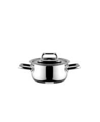 Aryıldız Colombus Metal Kulp Cam Kapak 14 Cm Derin Tencere