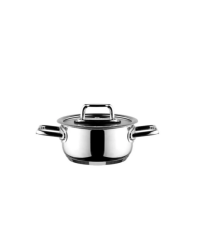 Aryıldız Colombus Metal Kulp Cam Kapak 14 Cm Derin Tencere