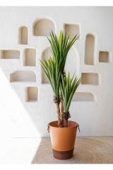 The Mia Yucca Ağaç Yapay 150 Cm Cck0300