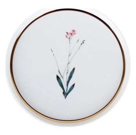 Porland 21 Cm Düz Tabak Botanical Desen4 04ALM005046