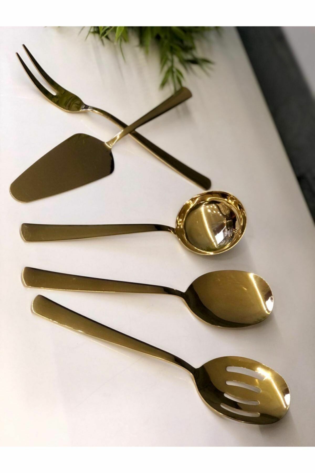 Roy King Sosluk Venüs 5 Parça Parlak Titanyum