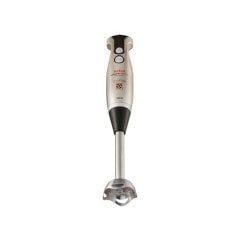 Tefal El Blender Activflow Power Soup Gümüş 1000W