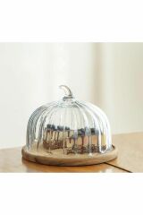 Mien Cam Kek Fanusu Tpd230125