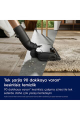 Electrolux 25V Dik Süpürge EP82AB25UG 900402303