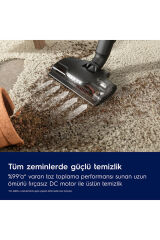 Electrolux 25V Dik Süpürge EP82AB25UG 900402303